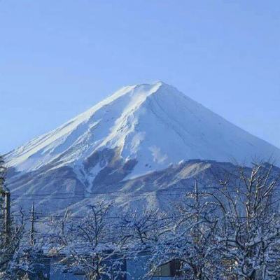 河道勇士2破解版下载